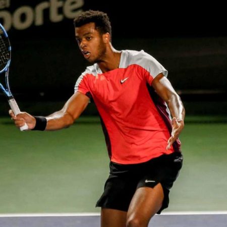 Мпеши-Перрикар — Гренье. Прогноз на матч Australian Open