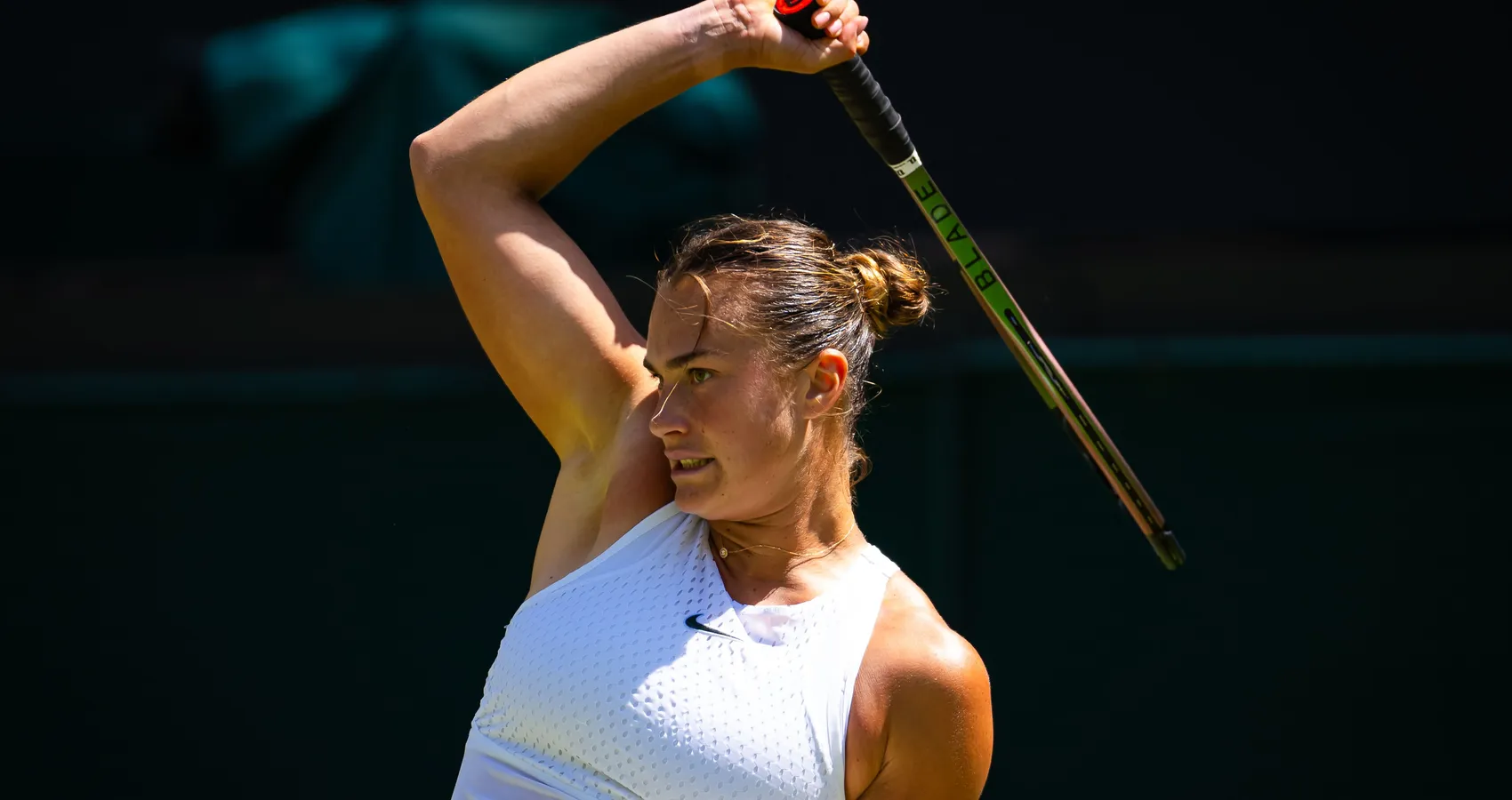 Арина Соболенко — прогноз WTA Берлин 17 июня 2026