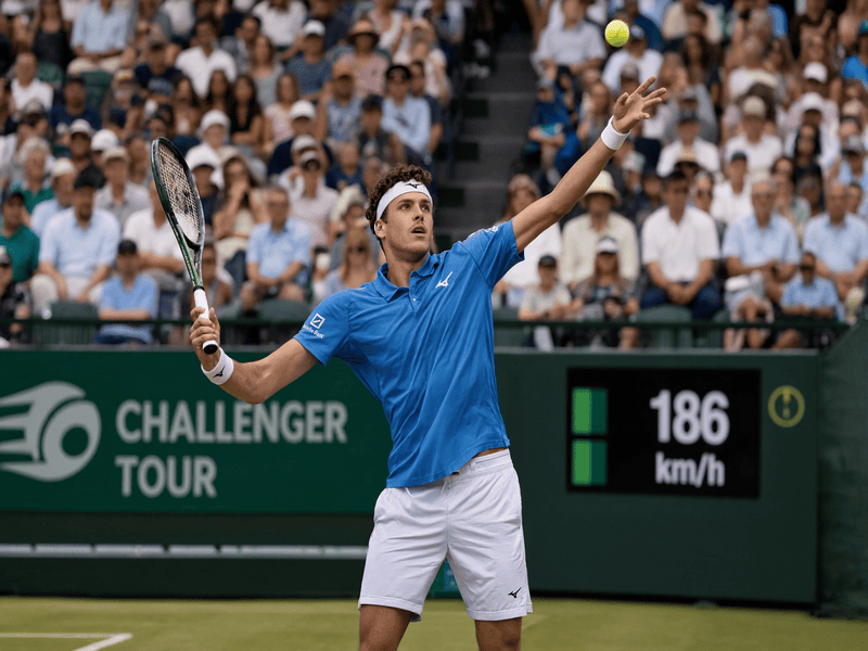 Шёнхаус — Тьен прогноз ATP Halle Open 15 июня 2026